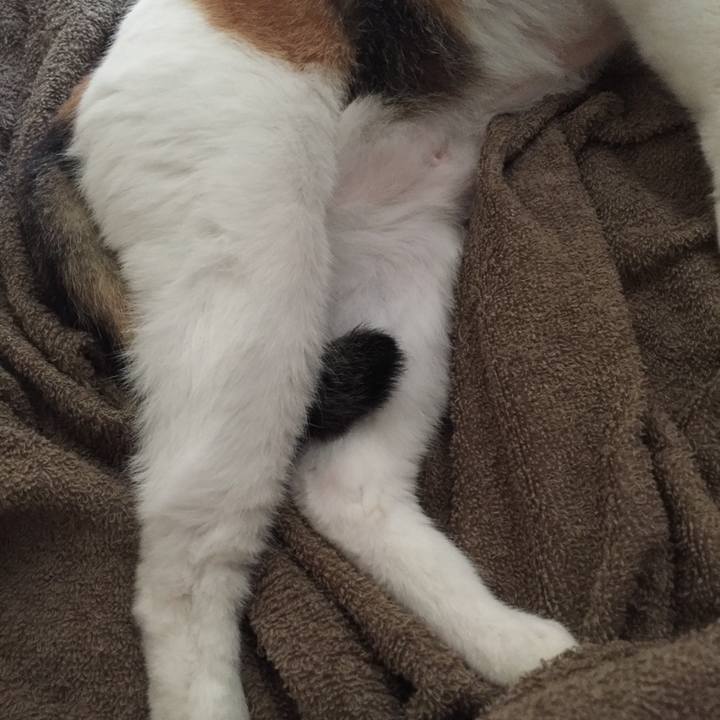 C564f247 c317 47e8 bdea 2e7ec209a959