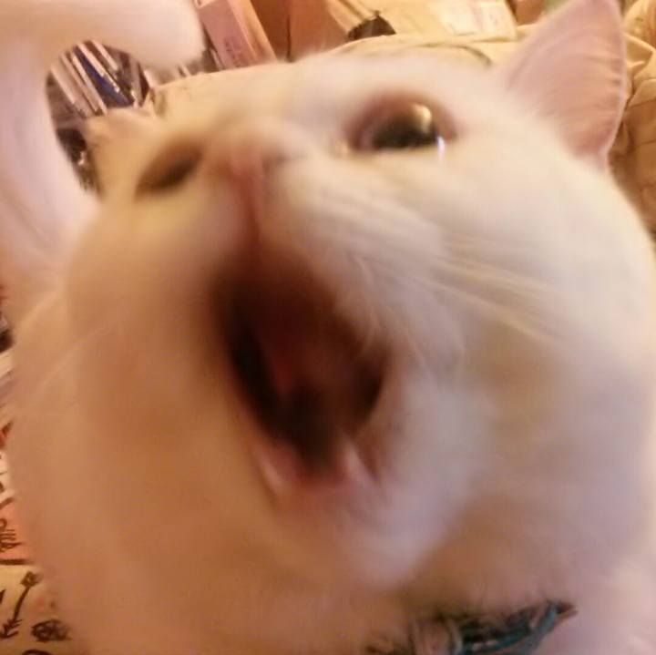 C5650999 1261 4223 ad95 5591151cd394