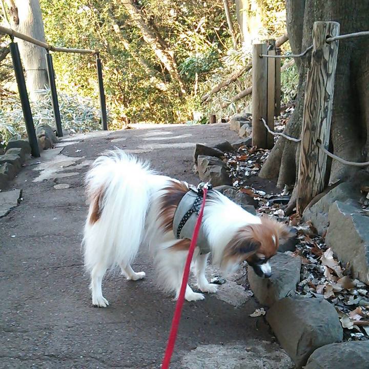 C5655e8a 3e8b 4cfa 9137 7f3ad5b1bf69