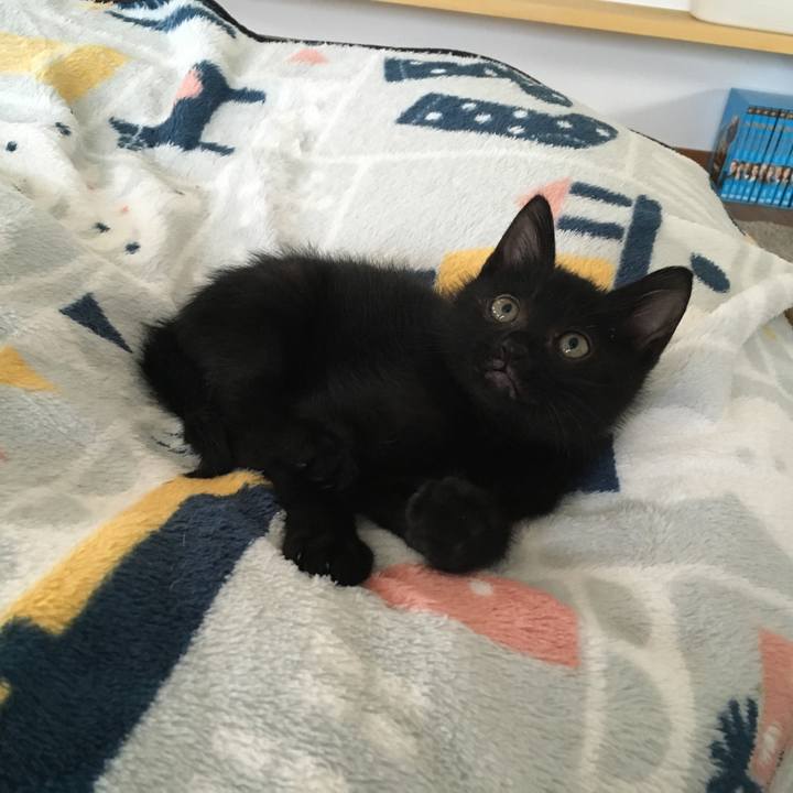 C56592af 2562 4046 aef1 a730ee774e4f