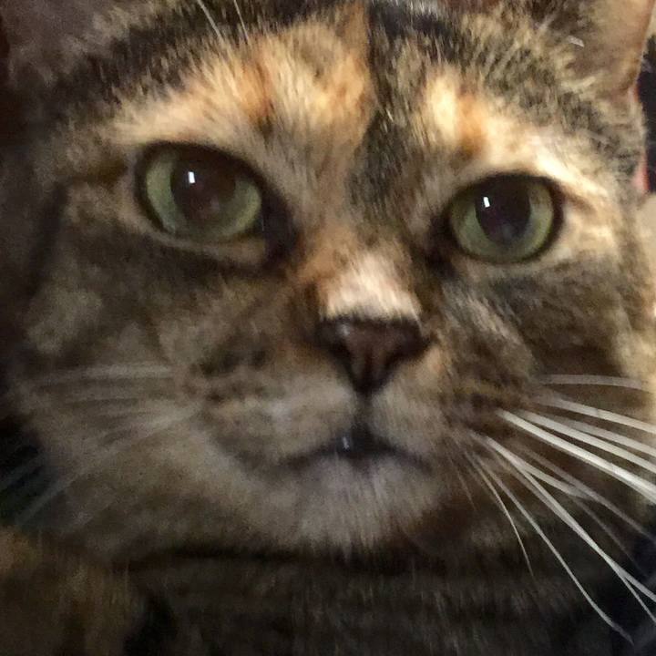 C56603b2 1610 47c6 bdc2 911bcad283cc