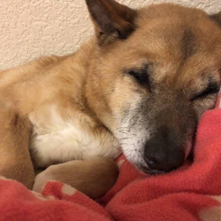 C5668d5d 7e19 4afe 9824 8b85d7110e89