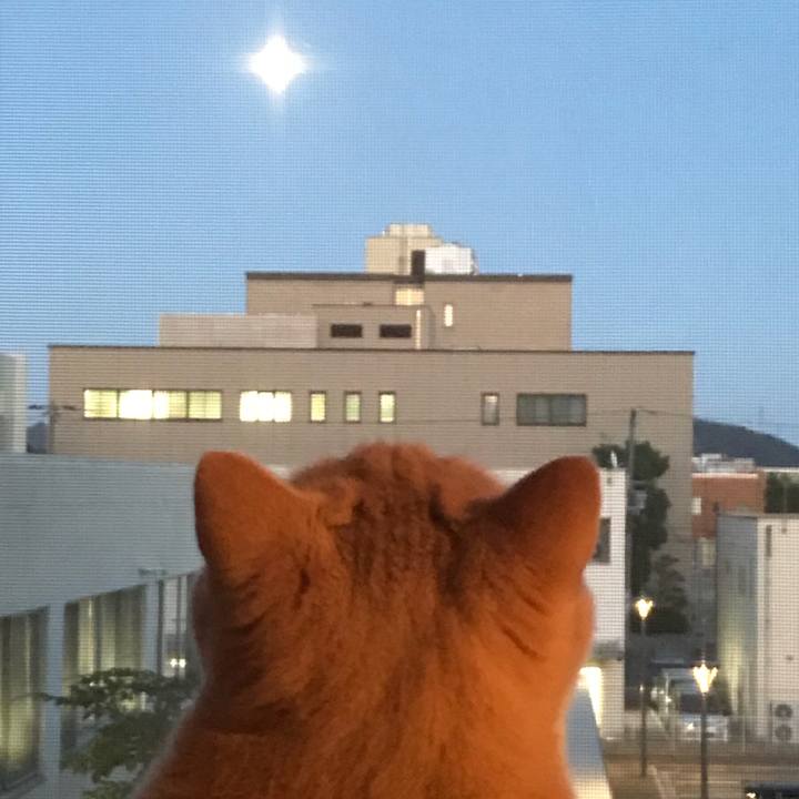 C566b4f1 3986 4dbb b2b6 a699045d5c7d