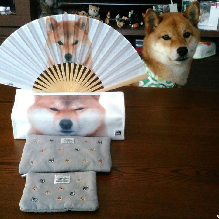 C567161e 5e84 46da a07a 5d3aad042ff8