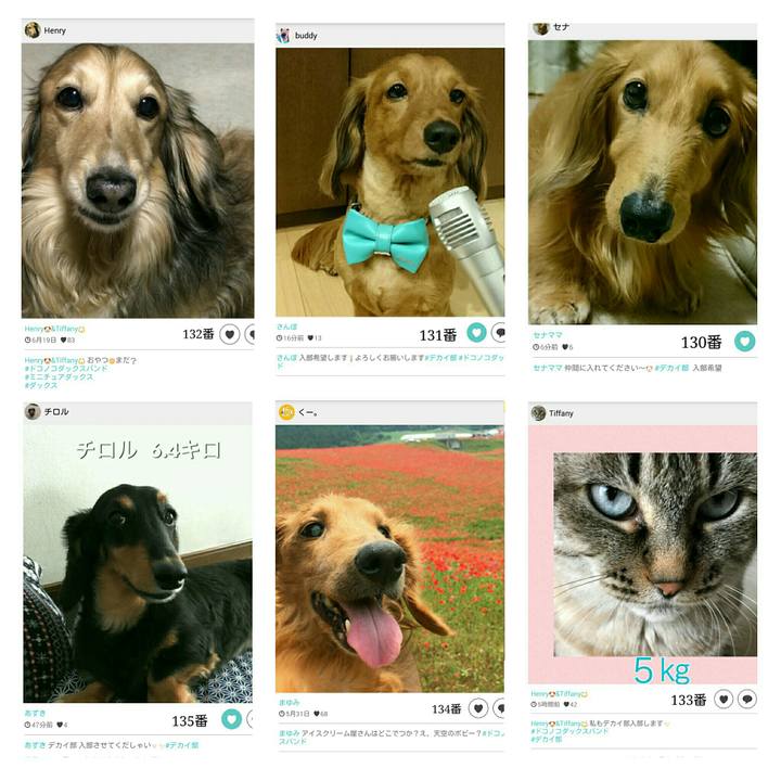 C5672f94 e1f2 4878 ad84 07c41be84bca