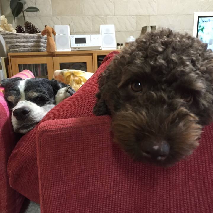 C56782a0 ceda 4d55 b0a7 bb72e2928710