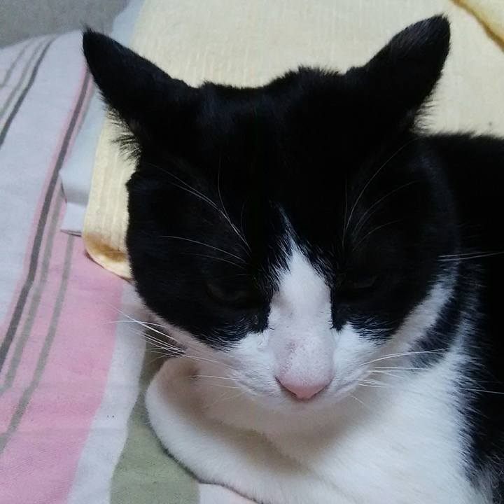 C567b7ab 283c 4ba6 ab3e 9f228ff064c8