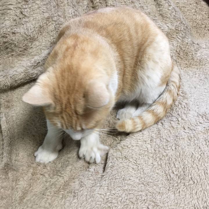 C567f91b a400 459d b345 cc95f406709e