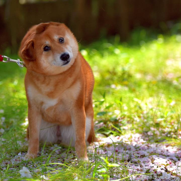 C5685707 f874 4df1 a2e4 9b5a690a38ed