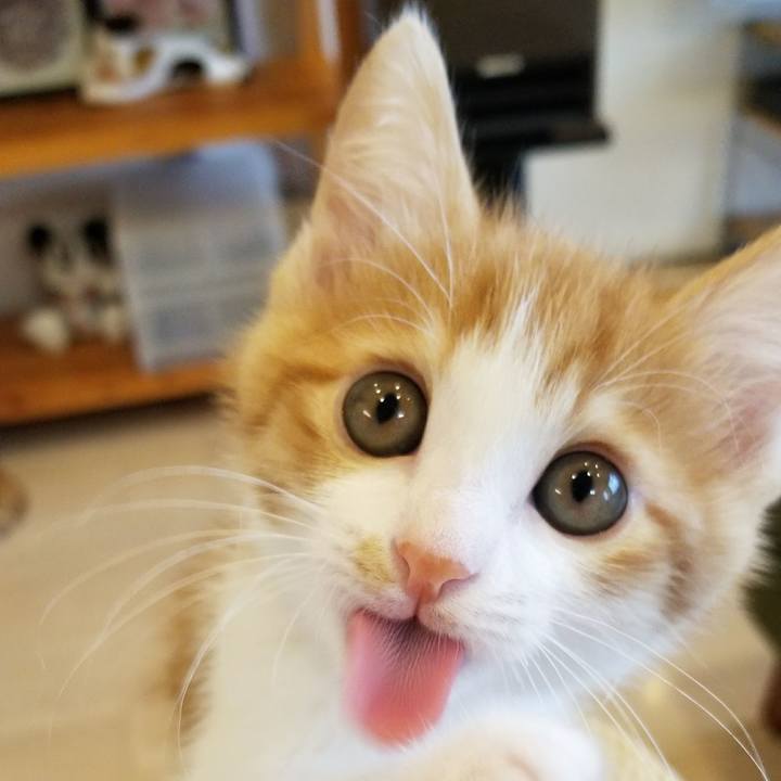 C5686283 f8e0 4e52 8e4b 82cc9a5b2129