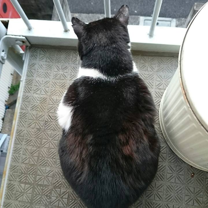 C5690655 2cd5 4d62 860c 54709be6c272