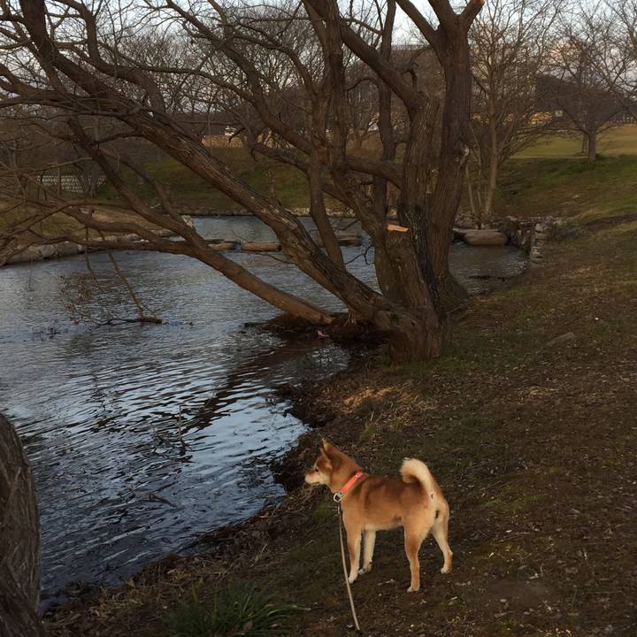 C56928de cfde 4cca 8608 c0222cb64bc8