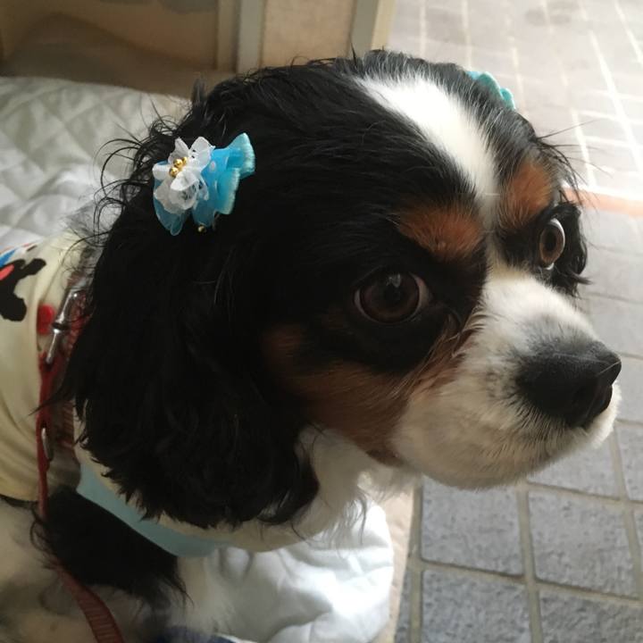 C56a7afb d379 4e7e 9fcc 955e30a4ebb0