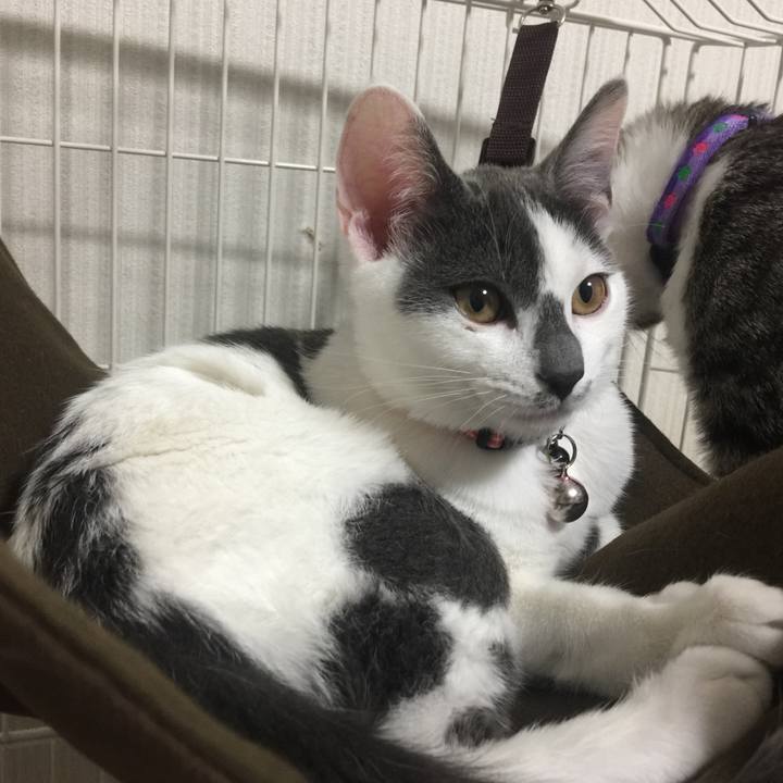 C56ac976 bc93 4507 b8fc 82d1cc67d8d1