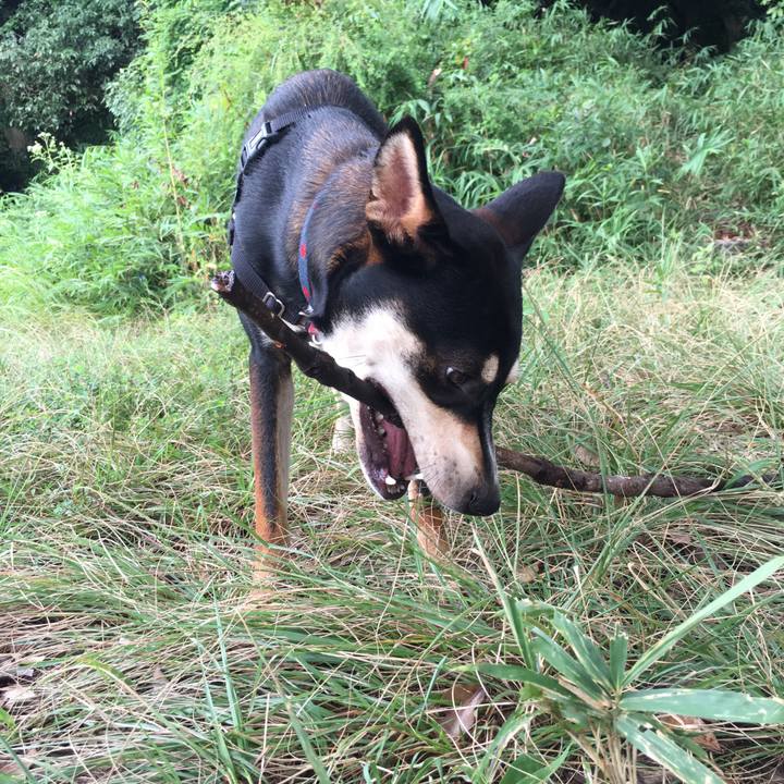 C56b32b6 3436 4cc1 89fc 285433b279f2