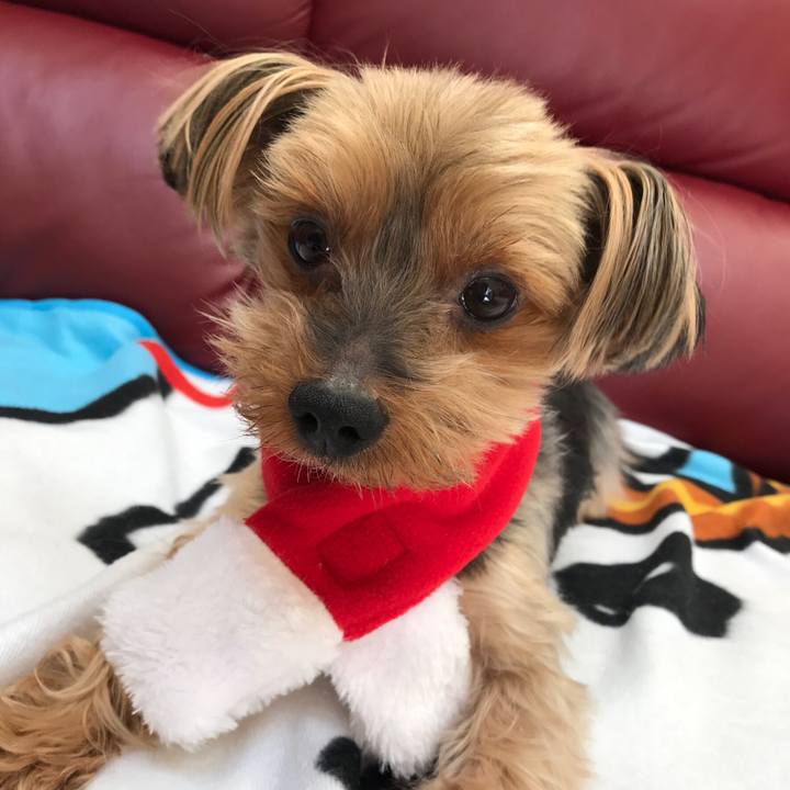 C56b544f 9c0a 49c6 b08b 543ad65c1cf2