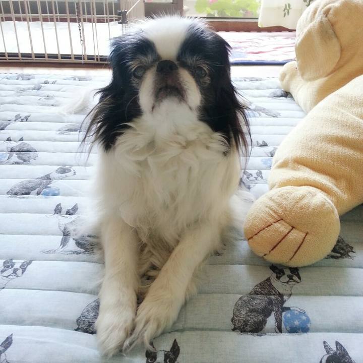 C56beee2 c8af 4701 99c1 e4b0281db86a