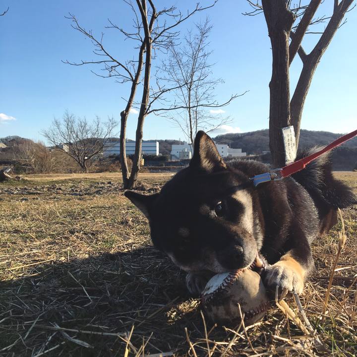 C56c1199 fc43 4ef8 9fdb b71e5870977a