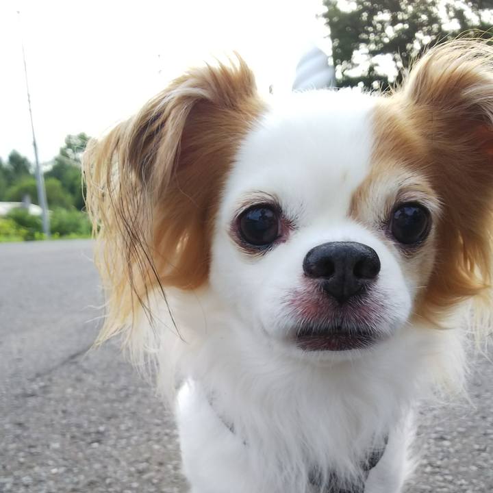 C56c68d8 02f6 4d9e a362 62a6b76f37f5