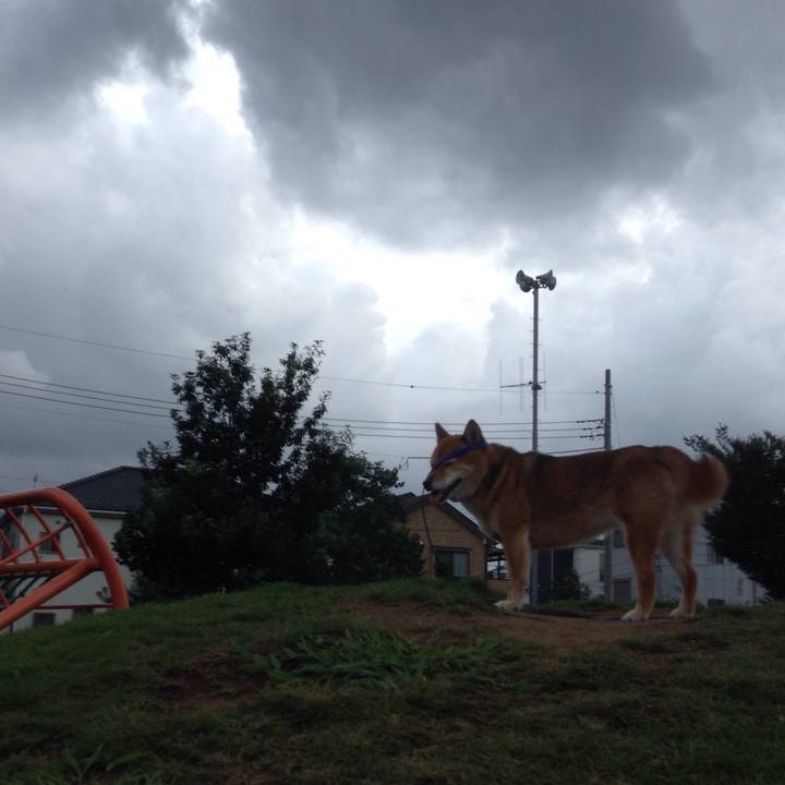 C56c6ac2 29be 4ef8 b2e5 a2e95203011e