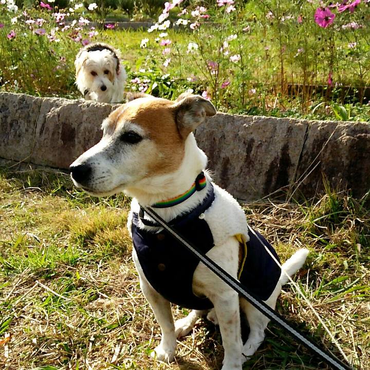 C56cbb0d e15a 42cc af4f bbefb31aea09