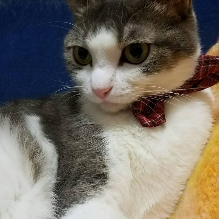 C56cd0f7 f555 4650 b719 66967b5a2833