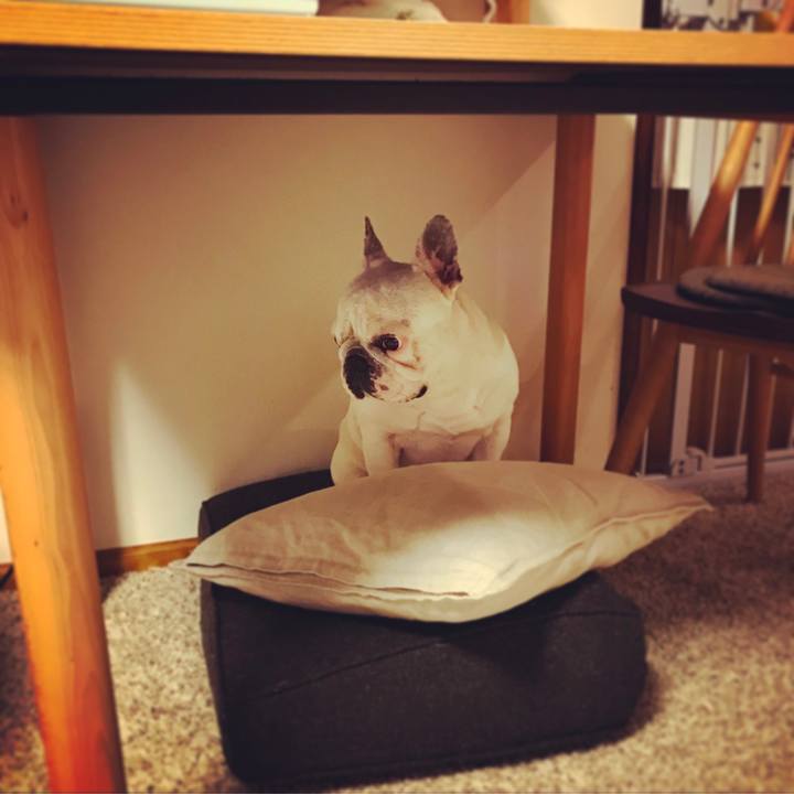 C56edeee e8ed 468a b081 66d35463082d