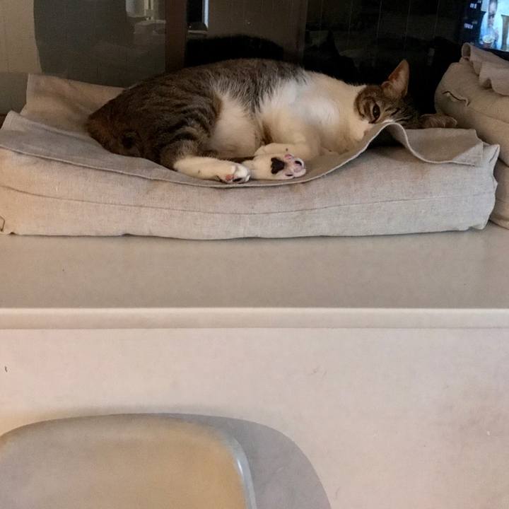 C56ef51d 17c2 4f54 bad8 3b013ef38666