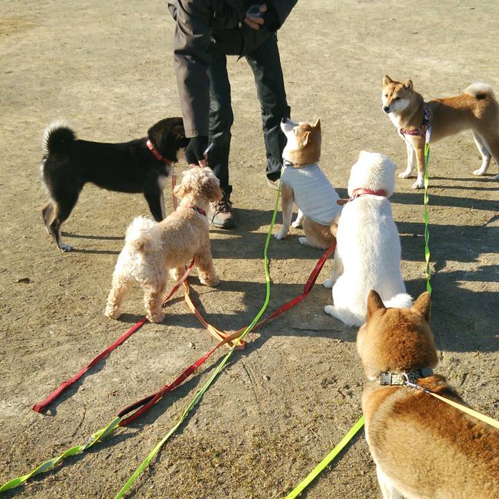 C56f8440 e31f 4cc2 9329 0736d78a2aef