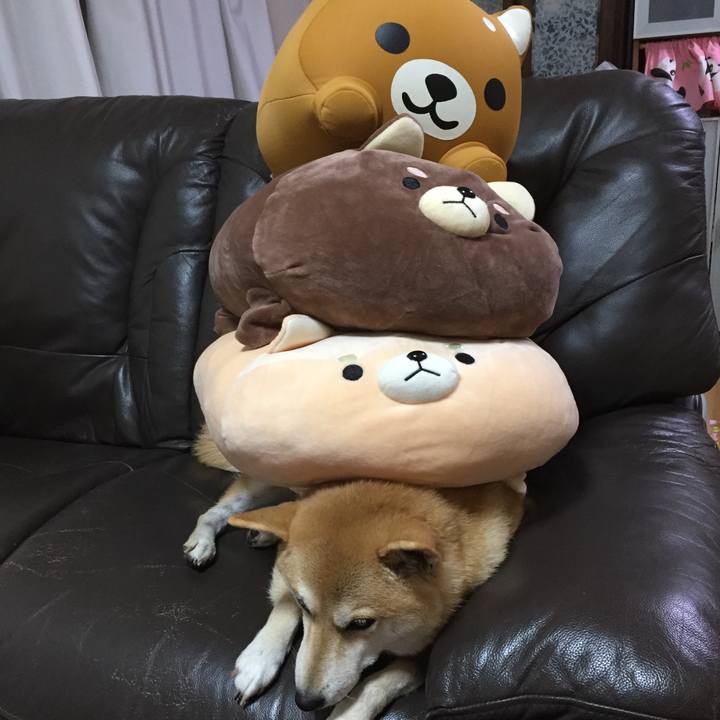 C570072d 34d9 498c 920d 37886df1b484