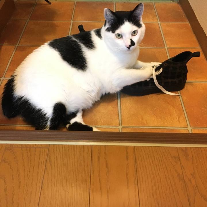 C5710ba8 c931 4037 8c79 164e8bec3803