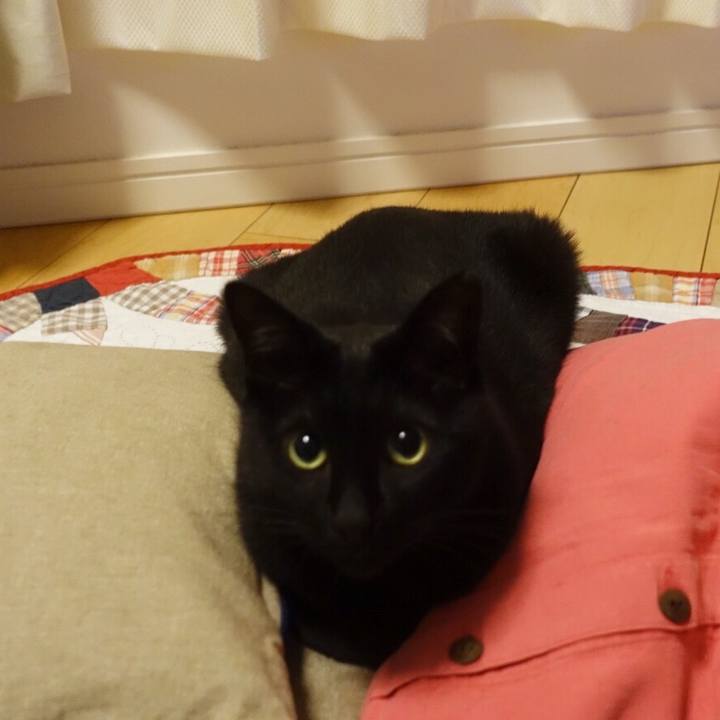 C571a8ce 7bdb 465f b781 fdd649b28952