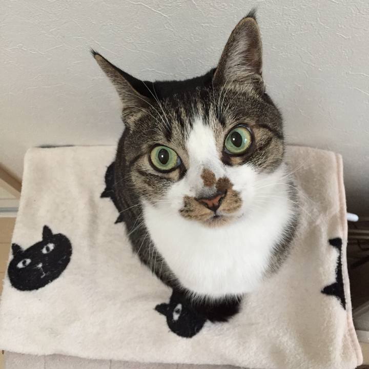 C572c755 8e2b 41b2 a63d 39c3e59fa135