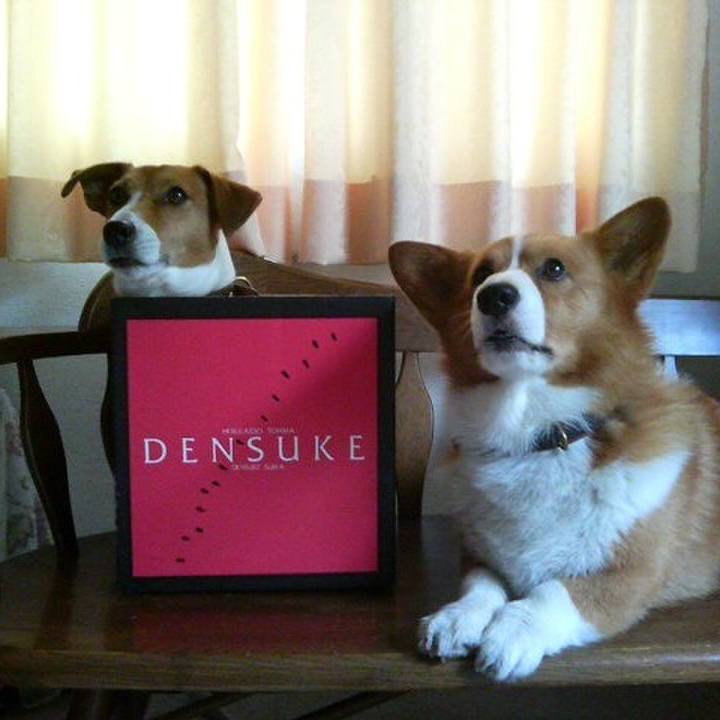 C573321a a573 482f a602 afdfe887b0c6