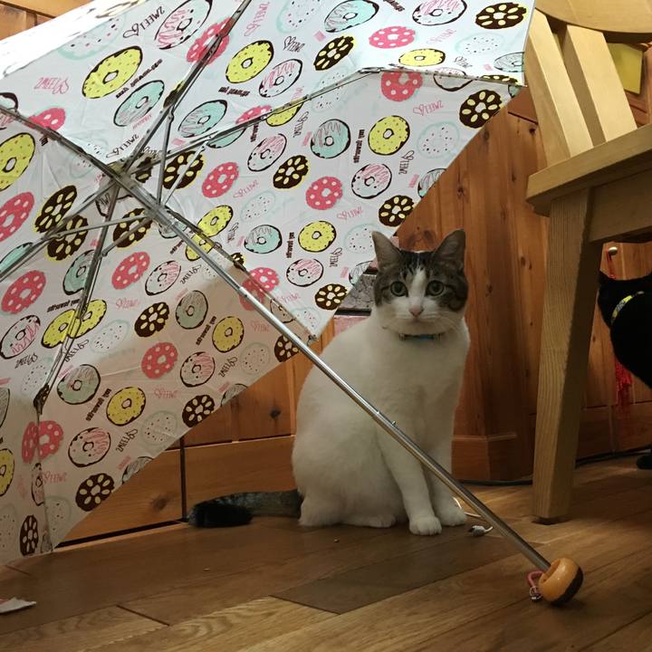 C573e03b a424 4c6b 8174 d8a697250e6e