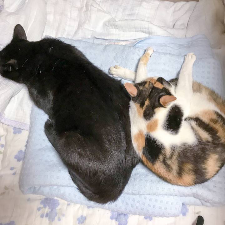 C5748042 277f 46ce 8ab3 0e8ec3dd5b4d