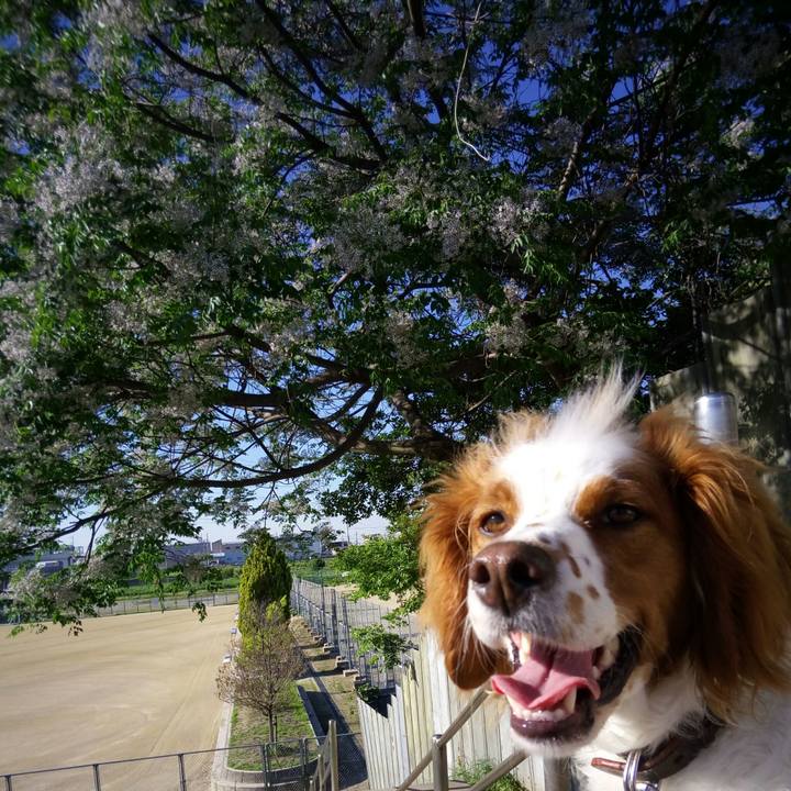 C5749753 4e09 4197 8620 66f4538982bd