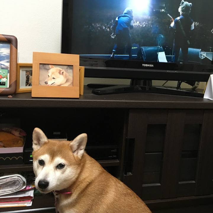 C574af07 f2a0 4abc a20c 87357d4fe66a