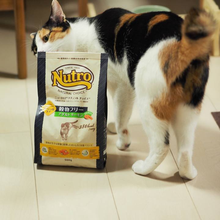 C574f86f 991c 4d0a 8af1 131776762621