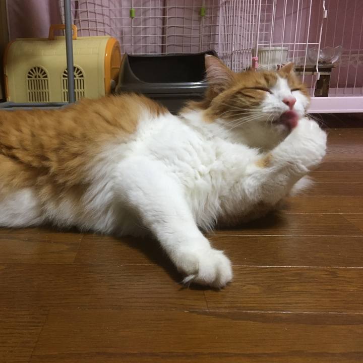 C575ad82 e657 4752 a27a ecd60b81ae14