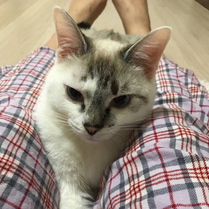 C5773d72 146b 4357 a5ac 9c7b3c85e7f9