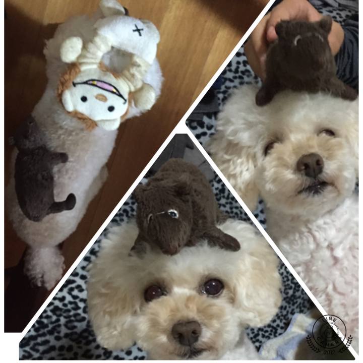 C57795bb a630 4e92 8c76 0a41144328aa