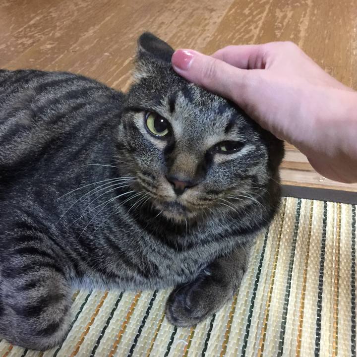 C577968e 2657 4319 8b4d 4ae89a28064c