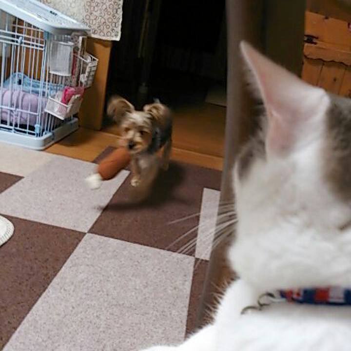 C577e55c 4b98 468d af20 428f2c348659