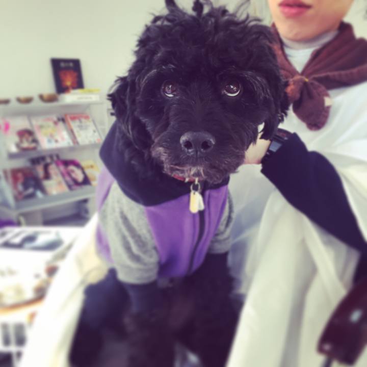 C5785ef4 30fa 44fa af65 c483d3d268a0