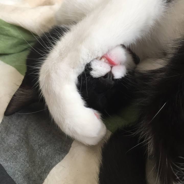 C57870dc 693f 4b66 ac13 9f27563517c2