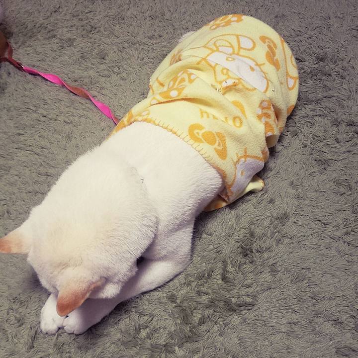 C5788989 8bdb 4d7f b4ac f93979b3fdd4