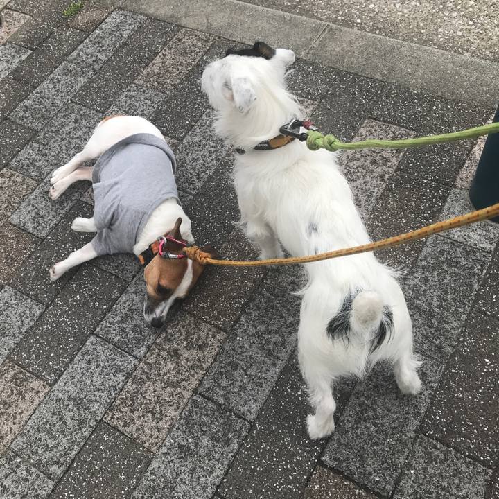 C578a34d 1332 49b7 9c8d 1e82c1da775d