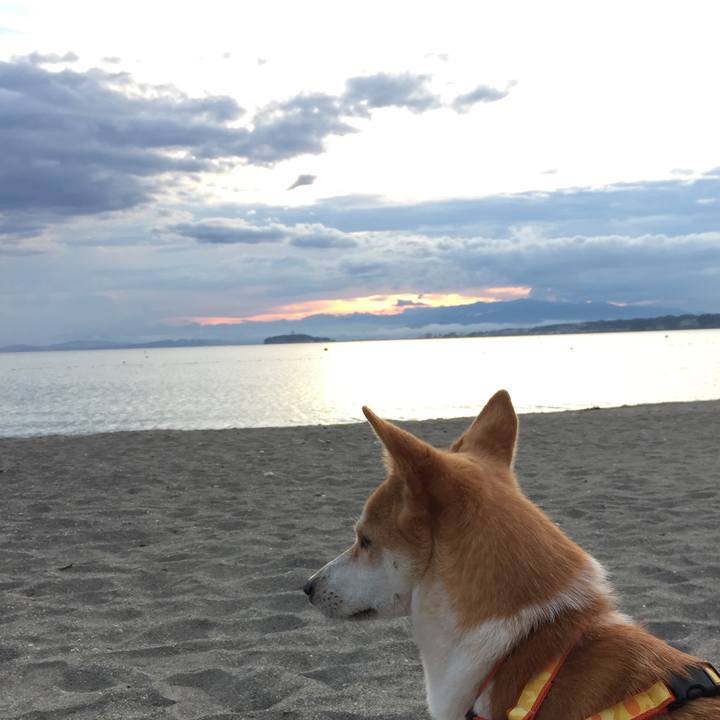 C5790afe 0b53 46bd 9ac7 715df808583b