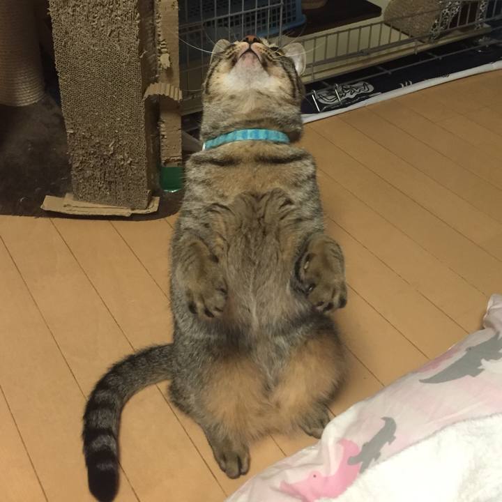 C5792b9c 5d30 4f00 a88f 7fa824cb1a1c